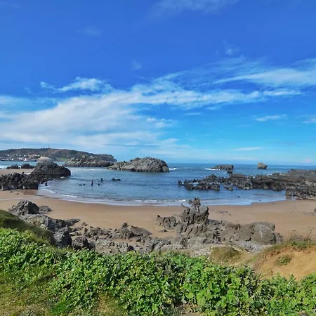 Girasoles - 6806 * Noja