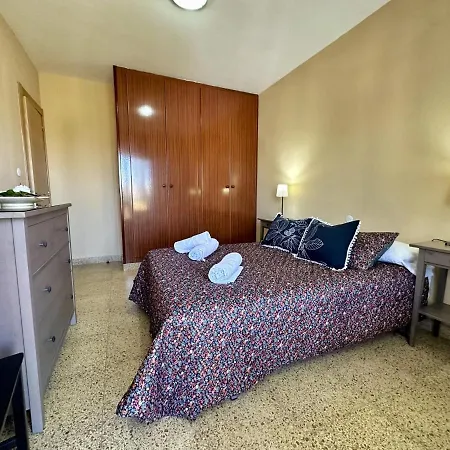 Girasoles - 6806 Noja