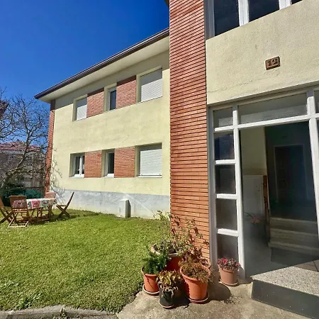 Girasoles - 6806 * Noja