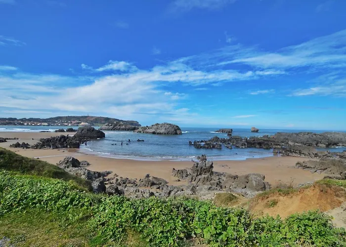 Girasoles - 6806 * Noja