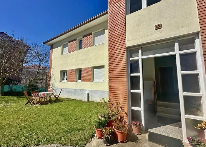 Girasoles - 6806 * Noja